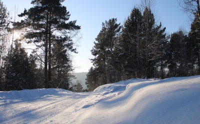 15 января: что нельзя делать в День святого Сильвестра