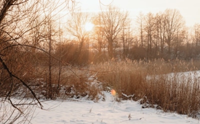 18 января: что нельзя делать в Крещенский сочельник