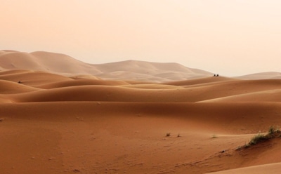 Самая большая в Африке — пустыня Сахара и факты о ней: причины образования, история исследований и особенности