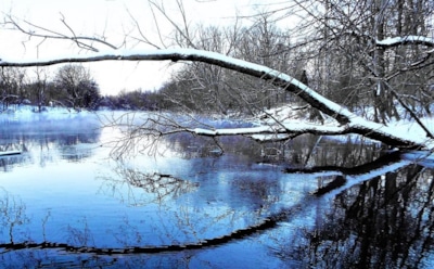 20 января: что нельзя делать на Собор Предтечи и Крестителя Господня Иоанна