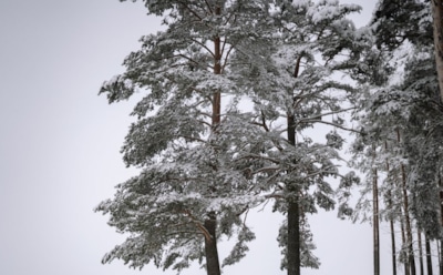 22 января: что нельзя делать в День Евстратия Тарсийского