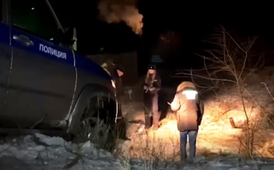 В Забайкалье собаки растерзали 7-летнюю девочку