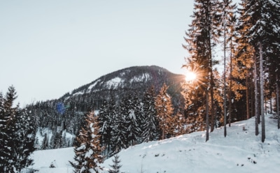 24 января: что нельзя делать в День Феодосия Великого