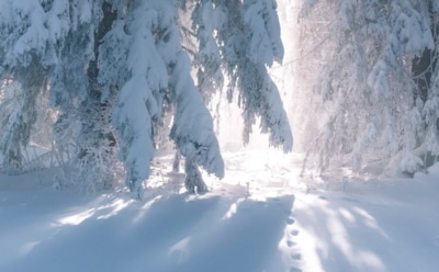 23 января: что нельзя делать на Григория Летоуказателя