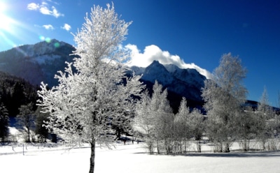 25 января: что нельзя делать в Татьянин день