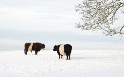 27 января: что нельзя делать в День памяти равноапостольной Нины