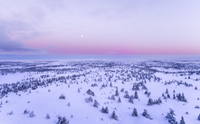 29 января: что нельзя делать в Петров день