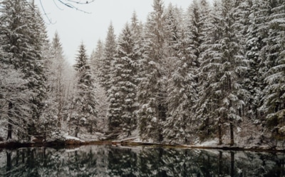 1 февраля: что нельзя делать в День Макария Великого
