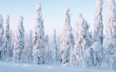 2 февраля: что нельзя делать в День Евфимия Великого