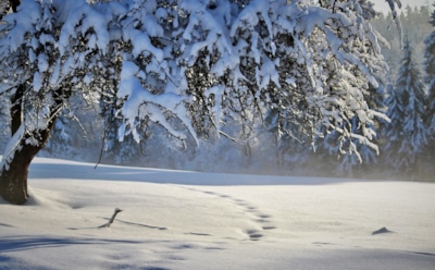 3 февраля: известные люди, которые родились или умерли в этот день