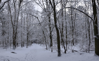 4 февраля: что нельзя делать в День памяти апостола Тимофея