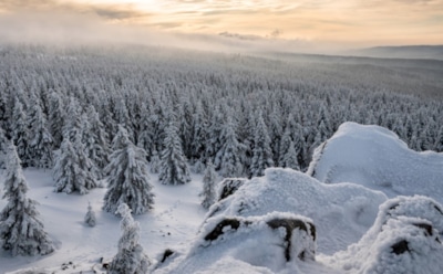 5 февраля: что нельзя делать на Собор Костромских святых