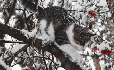 7 февраля: что нельзя делать в День памяти Григория Богослова
