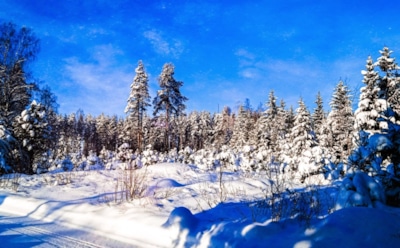 8 февраля: что нельзя делать в День памяти Феодора Студита