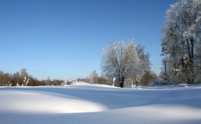 9 февраля: что нельзя делать на Перенесение мощей Иоанна Златоуста