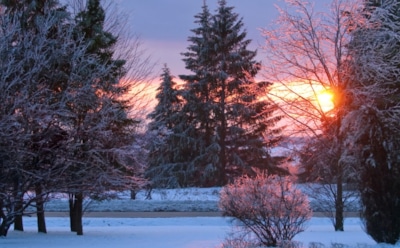 10 февраля: что нельзя делать в День памяти Ефрема Сирина