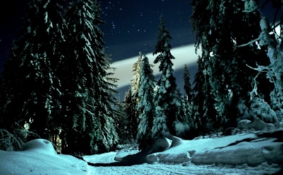 11 февраля: что нельзя делать на Перенесение мощей Игнатия Богоносца