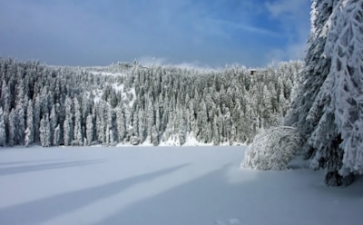 12 февраля: что нельзя делать в День Трех Святых