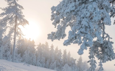 16 февраля: что нельзя делать в День памяти Симеона Богоприимца и Анны Пророчицы