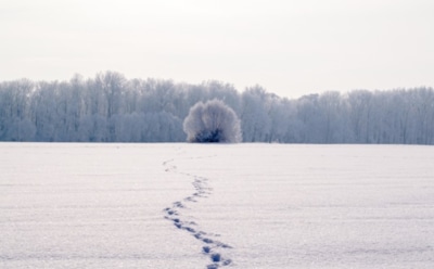 17 февраля: что нельзя делать в День памяти Исидора Пелусиотского