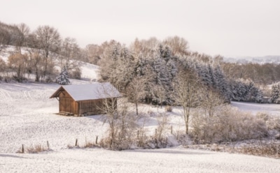 20 февраля: что нельзя делать в День памяти святителя Парфения Лампсакийского