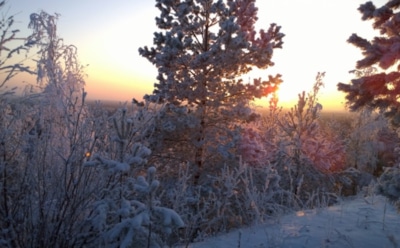 21 февраля: что нельзя делать в День памяти Феодора Стратилата