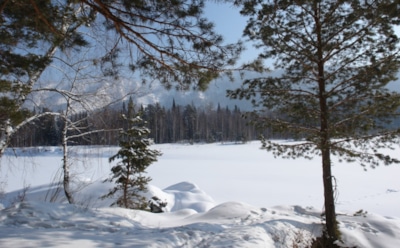 22 февраля: что нельзя делать в День памяти Никифора Антиохийского