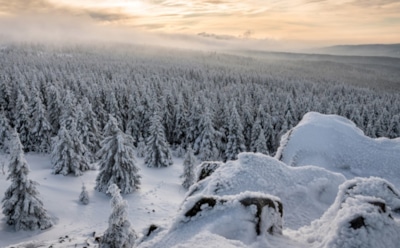 23 февраля: что нельзя делать на Собор Новгородских святителей
