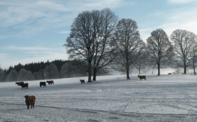 24 февраля: что нельзя делать в День памяти Власия Севастийского