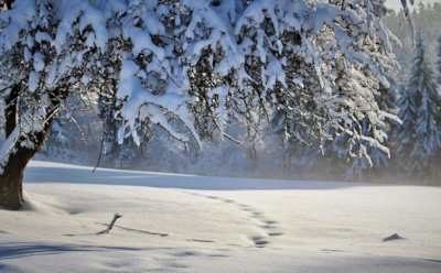 25 февраля: что нельзя делать в День памяти святителей Алексия и Мелетия
