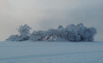 26 февраля: что нельзя делать в День памяти преподобного Мартиниана