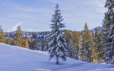 27 февраля: что нельзя делать в День памяти равноапостольного Кирилла