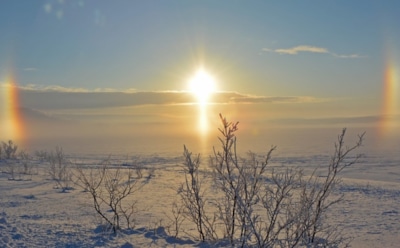 1 марта: что нельзя делать в День памяти святых 12 мучеников
