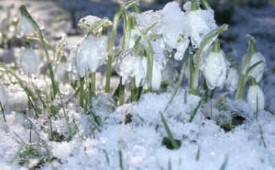 3 марта: что нельзя делать в День памяти Агапита Синадского