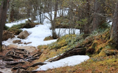 7 марта: что нельзя делать в День памяти мучеников Маврикия и 70 воинов