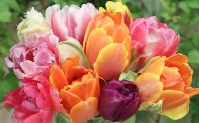 8 марта: что нельзя делать в День памяти священномученика Поликарпа