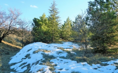 6 марта: что нельзя делать в День памяти святителя Евстафия