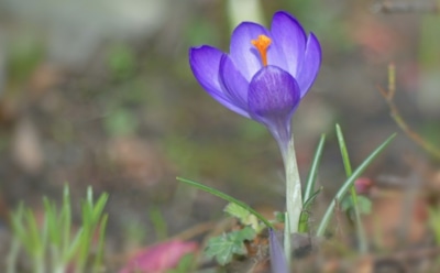 9 марта: что нельзя делать в День памяти Еразма Печерского