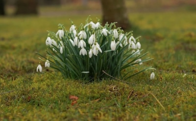 10 марта: что нельзя делать в День памяти святителя Тарасия