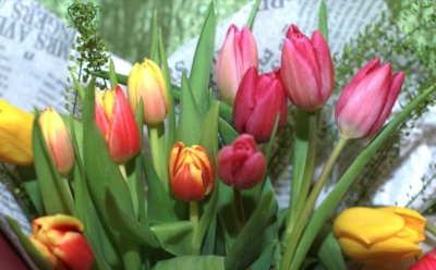 11 марта: что нельзя делать в День памяти святителя Порфирия