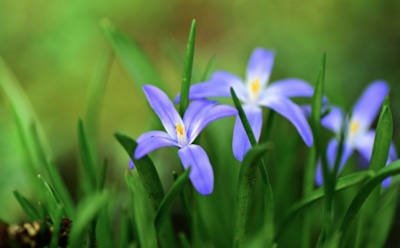 12 марта: что нельзя делать в День памяти Прокопия Исповедника