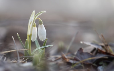 14 марта: что нельзя делать в День памяти преподобномученицы Евдокии