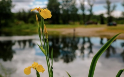 15 марта: что нельзя делать в День памяти священномученика Феодота