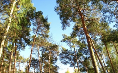 18 марта: что нельзя делать в День памяти Иоанна Лествичника