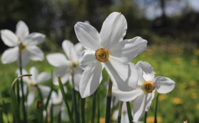 19 марта: что нельзя делать в День памяти 42 мучеников во Амморее