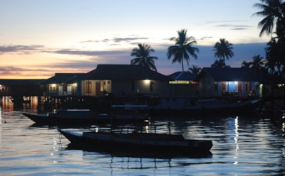 Калимантан — остров трех стран: происхождение, география, климат, природа