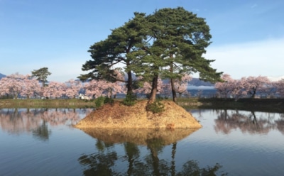 26 марта: что нельзя делать в День памяти Савина Ермопольского