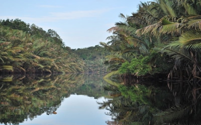 Суматра — земля бойцовых кур и черных пляжей: факты об острове, его природе и достопримечательностях
