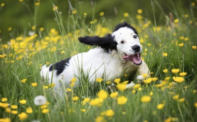 28 марта: что нельзя делать в День памяти Алексия Виноградова