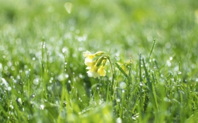 27 марта: что нельзя делать в День памяти святителя Феогноста